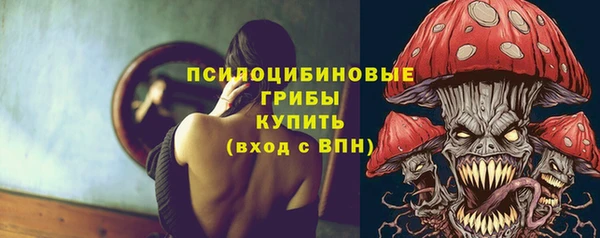 apvp Алексин
