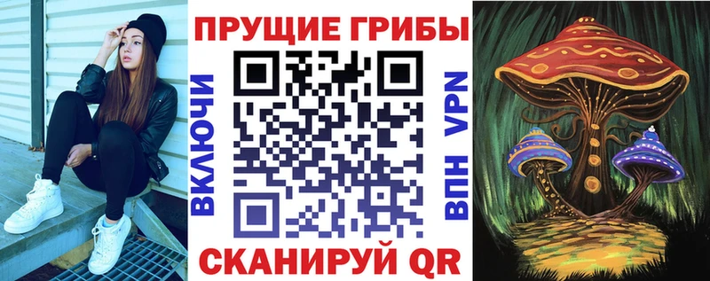 MEGA онион  Санкт-Петербург  Псилоцибиновые грибы мицелий 